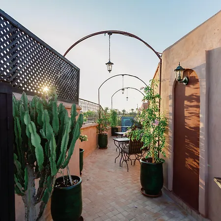 Riad El Hara-2